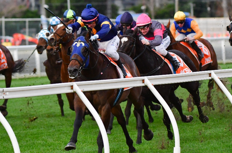 Caulfield Racing Tips, Best Bets & Odds | Today's Betting Tips For July 23