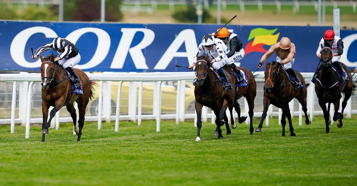 Newspaper racing tips for today | York and Sandown tips August 20