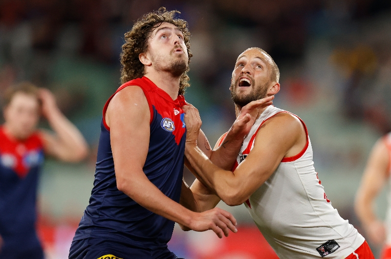 2022 AFL Finals: Melbourne Demons vs Brisbane Lions match day guide and  preview