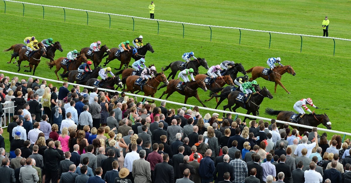 2022 Ayr Gold Cup Tips Odds trends and predictions September 17