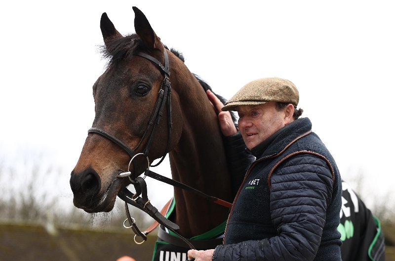 Nicky Henderson Stable Tour 2022/23 Key quotes and news