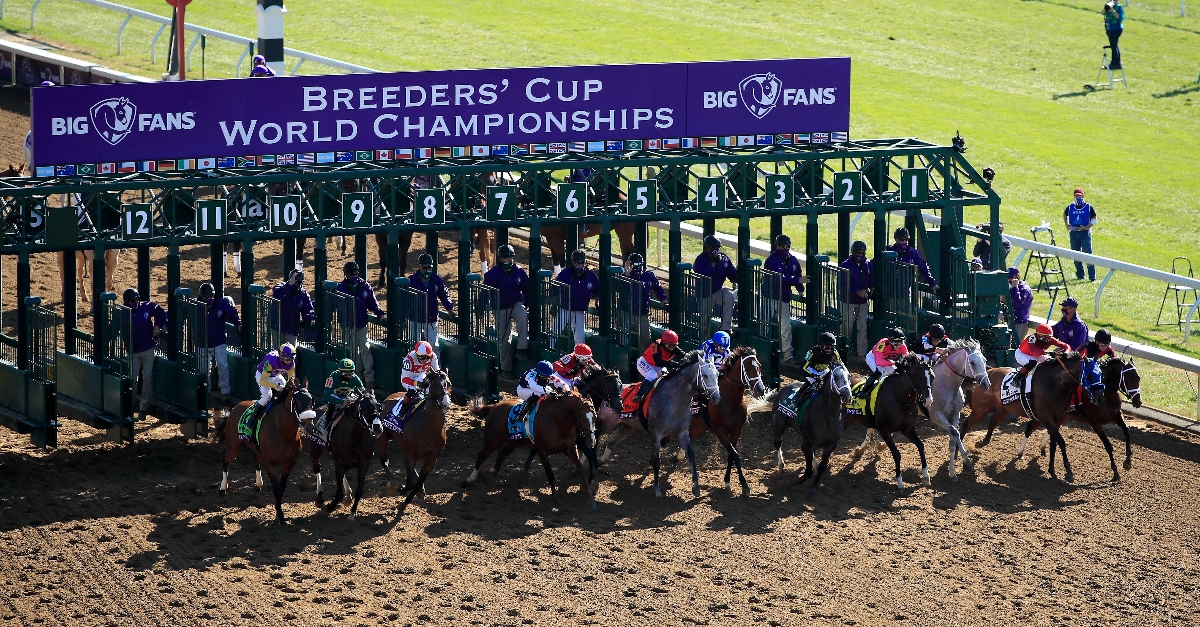 2022 Breeders' Cup Schedule Dates, Cards and Race Previews
