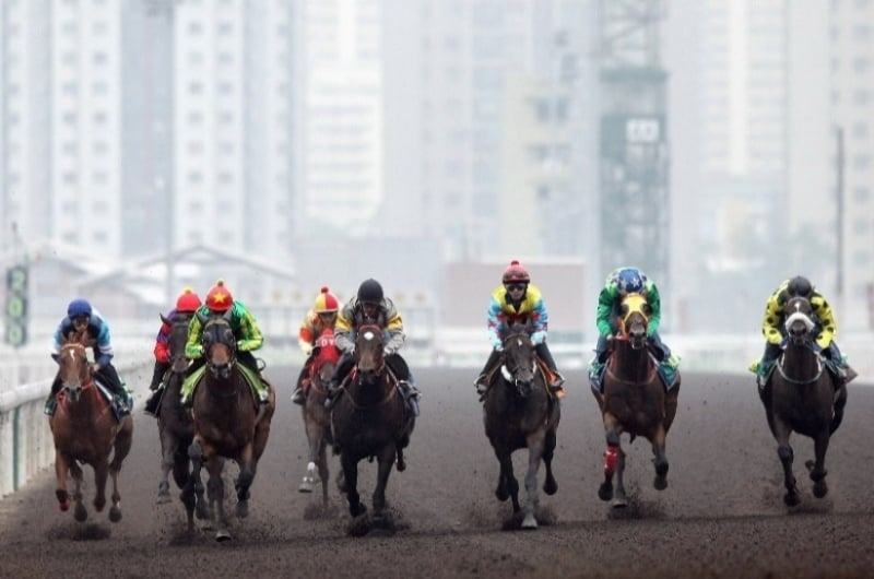 Sha Tin Racecourse Tips & Latest News - The latest News and Betting Tips  from Hong Kong