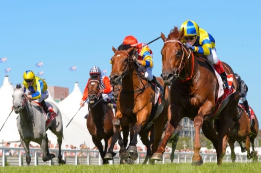 Belmont Racing Tips, Best Bets & Odds Today's Betting Tips for