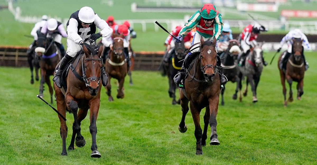 2022 Greatwood Handicap Hurdle Tips Cheltenham tips November 13