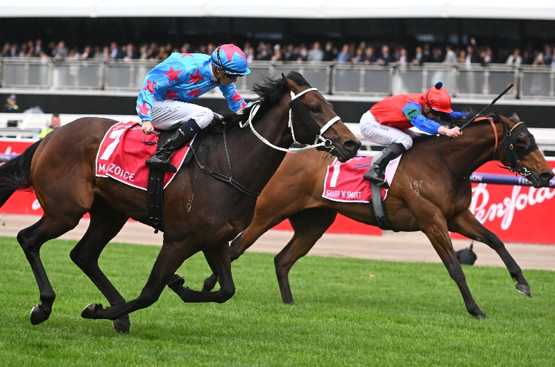 Australian Derby Betting Odds Latest betting odds for the 2023