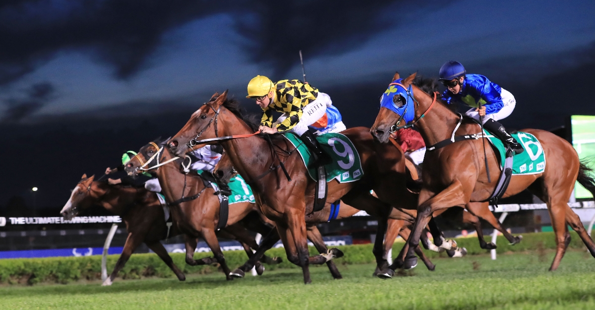 Canterbury Racing Tips, Best Bets & Odds Today's Betting Tips for