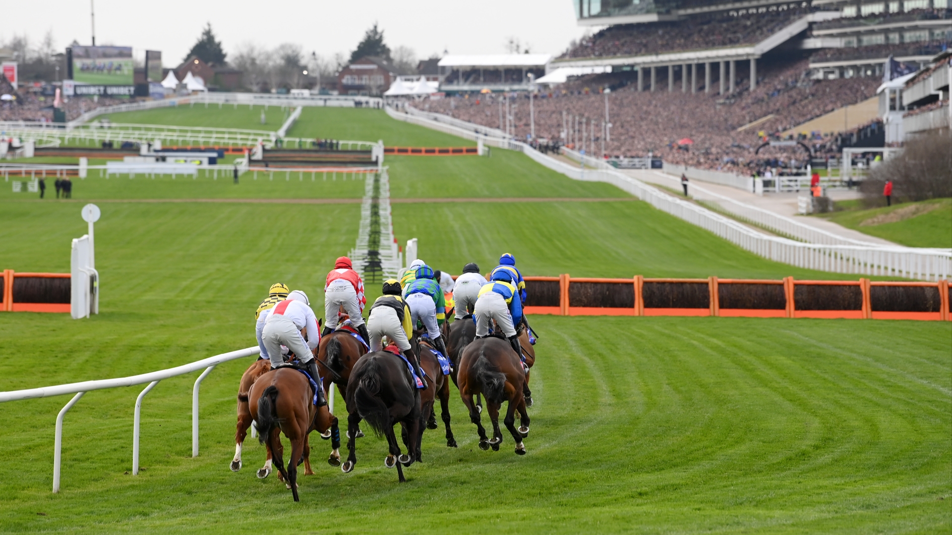 Cheltenham Festival 2023 Preview Racecards and schedule