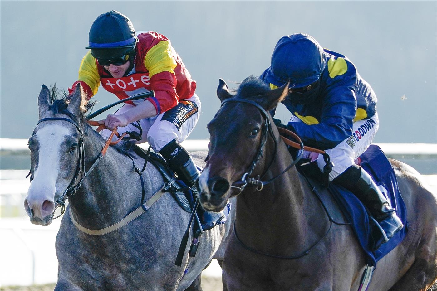 Racing Photos | Lingfield Races On January 21st [Pictures And Results]