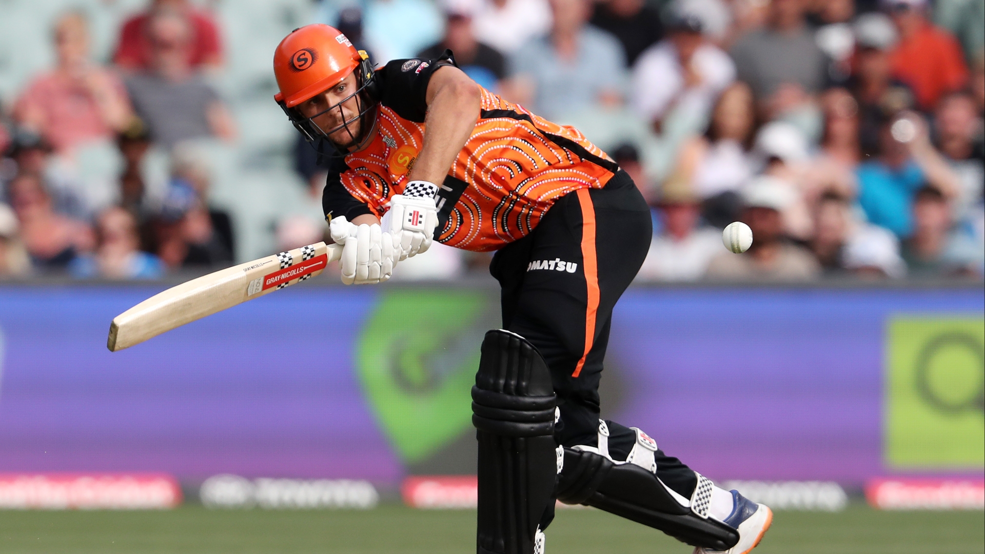 Perth Scorchers vs Melbourne Renegades Tips & Live Stream