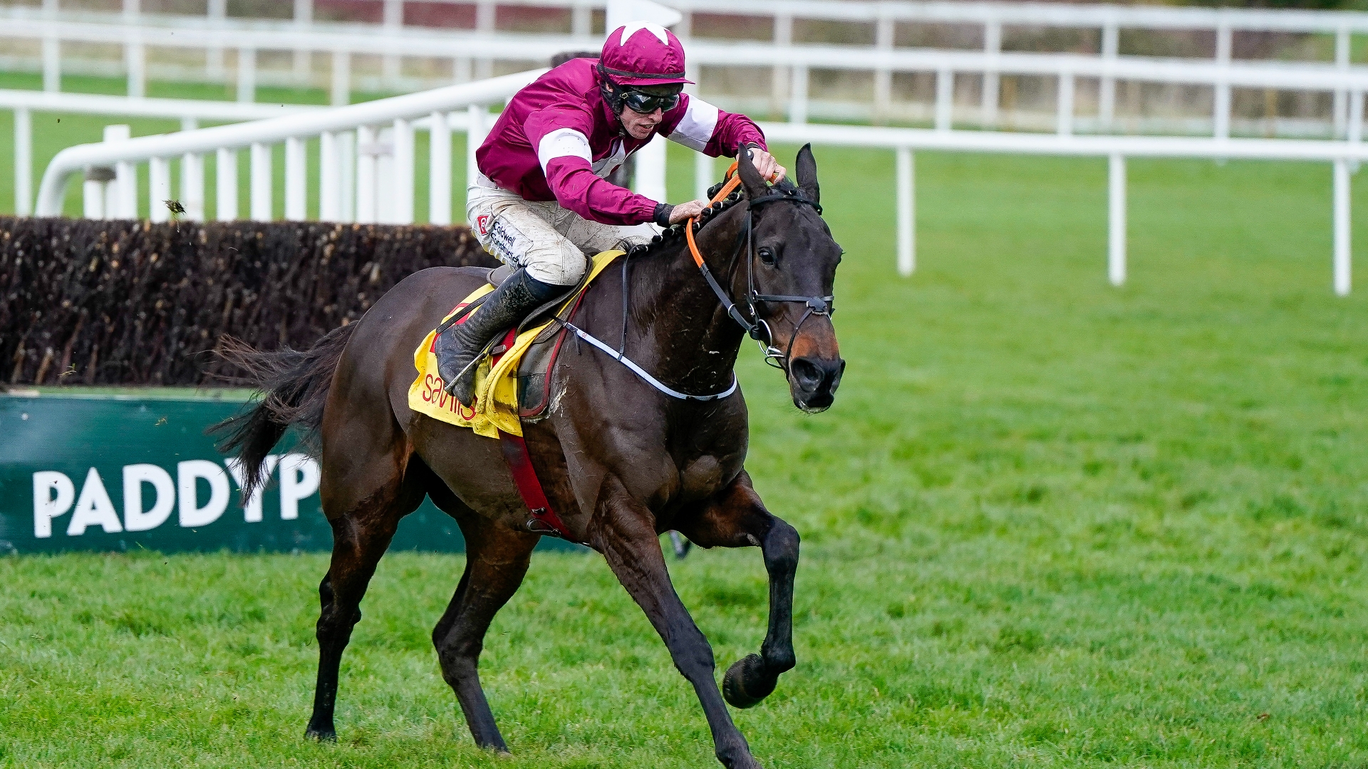 Ryanair Chase 2024 Tips Preseason guide and preview