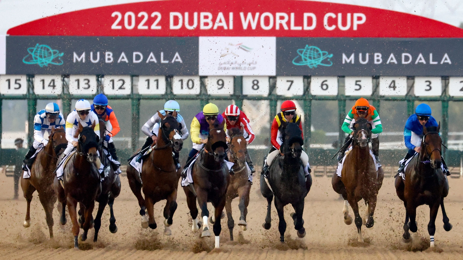 Meydan Tips Dubai World Cup Carnival Week 5 Tips February 3rd 2454