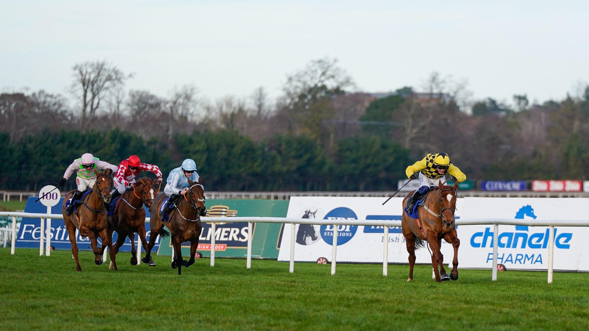 Racing Photos Leopardstown races on February 5th [Pictures and Results]