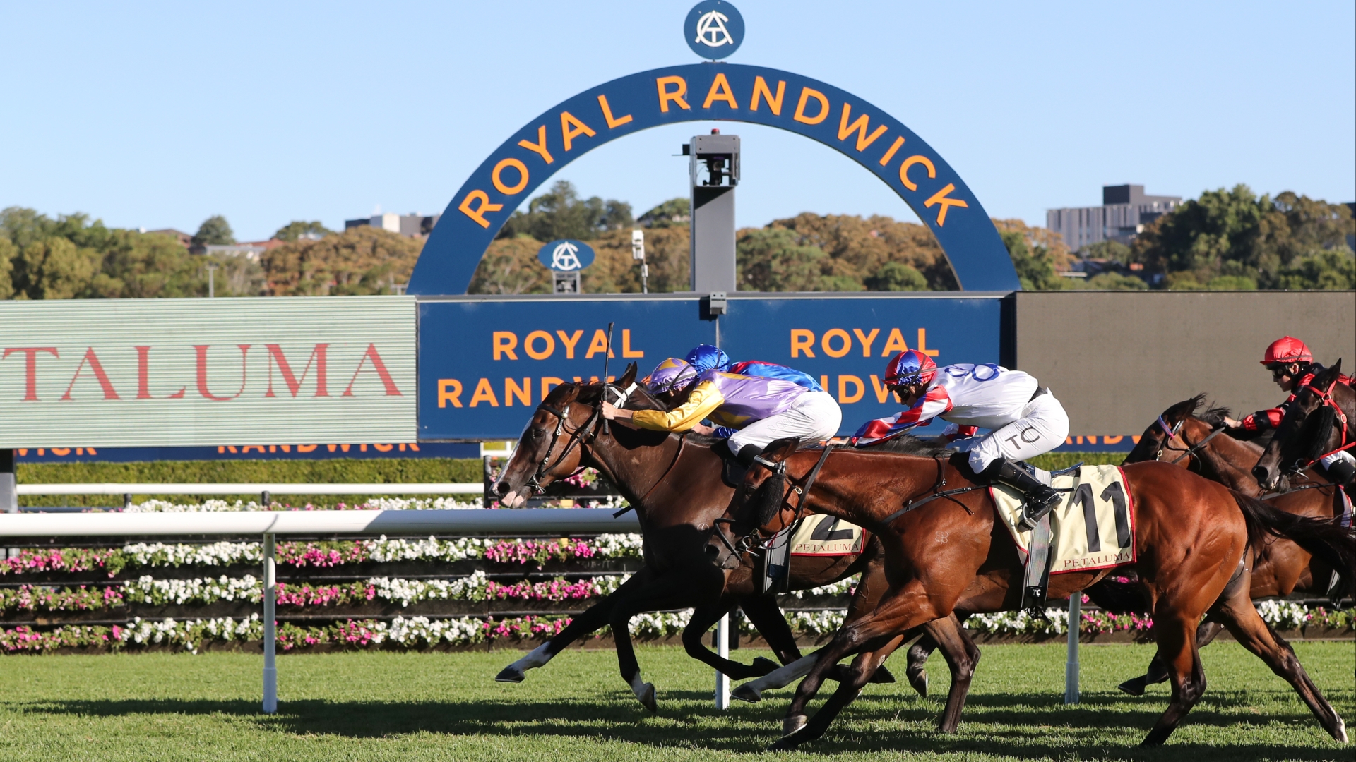 Randwick Racing Tips, Best Bets & Odds Today's Betting Tips for