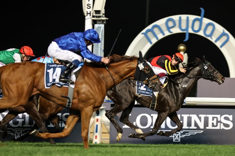 2023 Dubai World Cup Tips Odds Draw And Predictions 4696