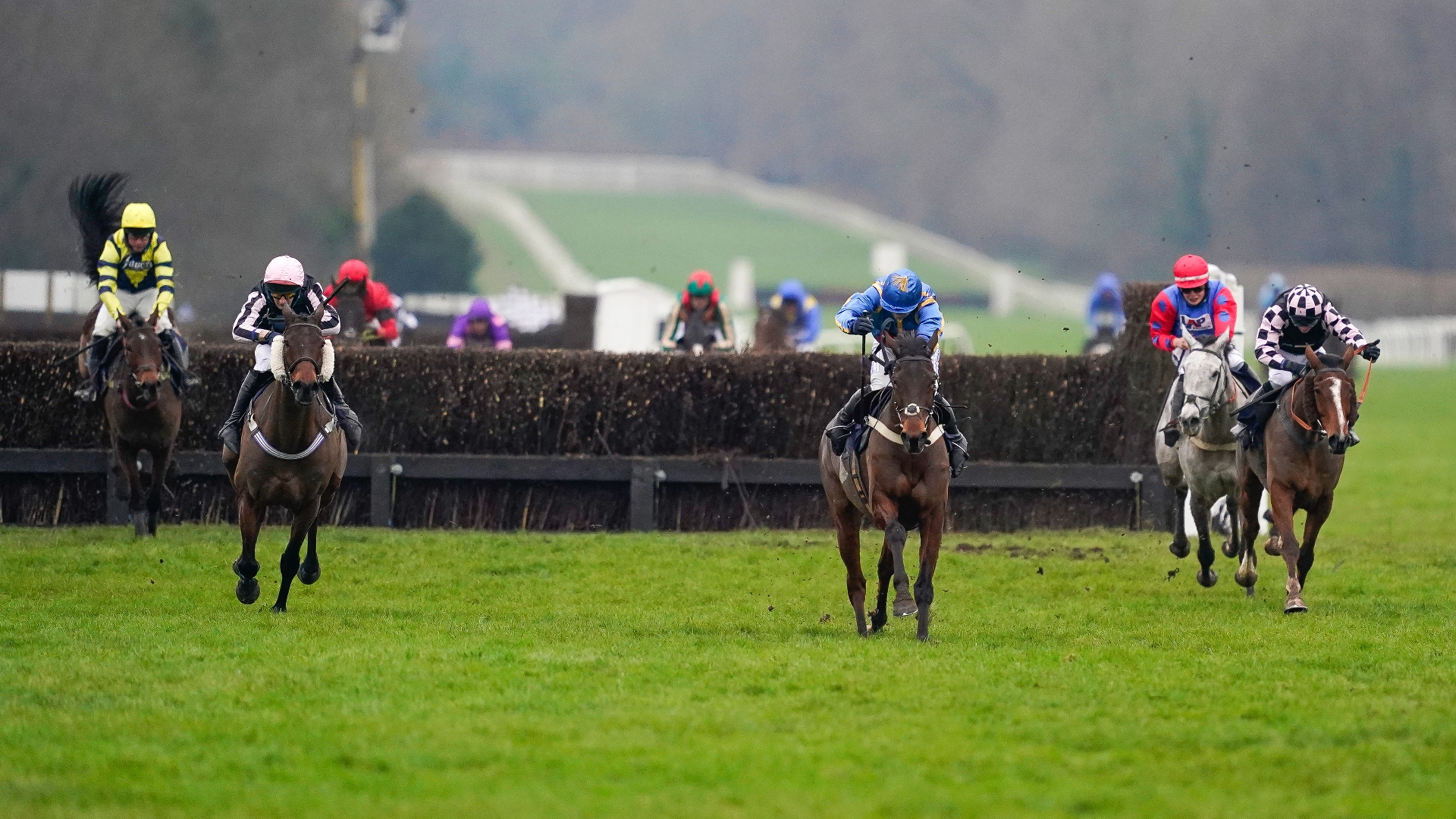 2023 Midlands Grand National Tips Odds, trends and tips March 18