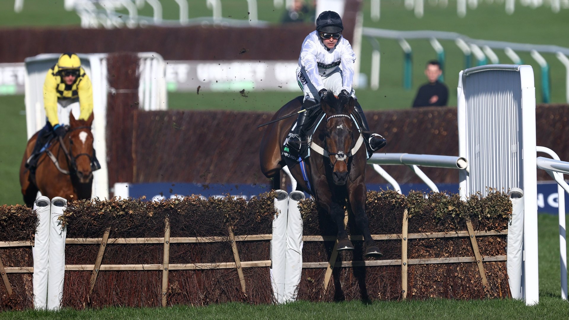 Champion Hurdle 2024 odds and betting news: Constitution Hill the odds-on  favourite