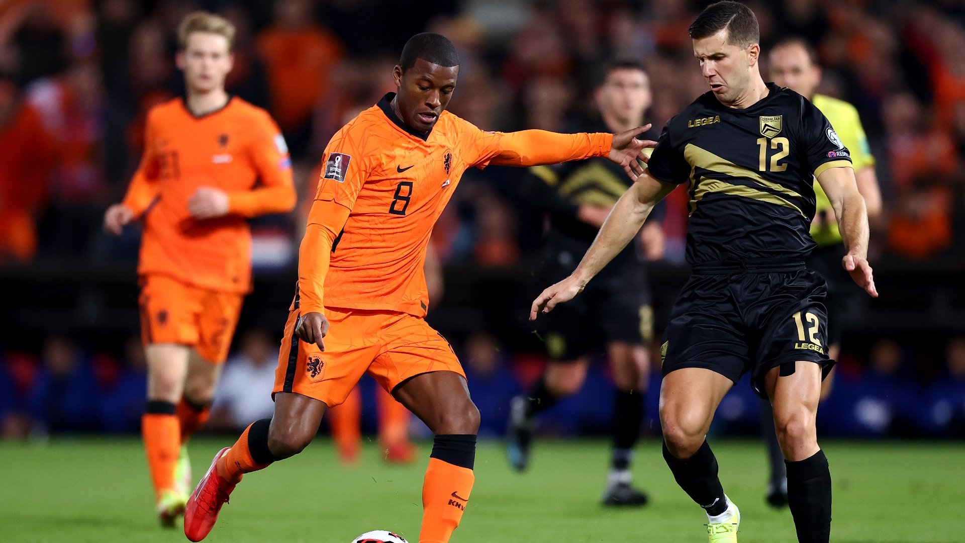 Netherlands Vs Gibraltar Predictions, Tips & Live Stream