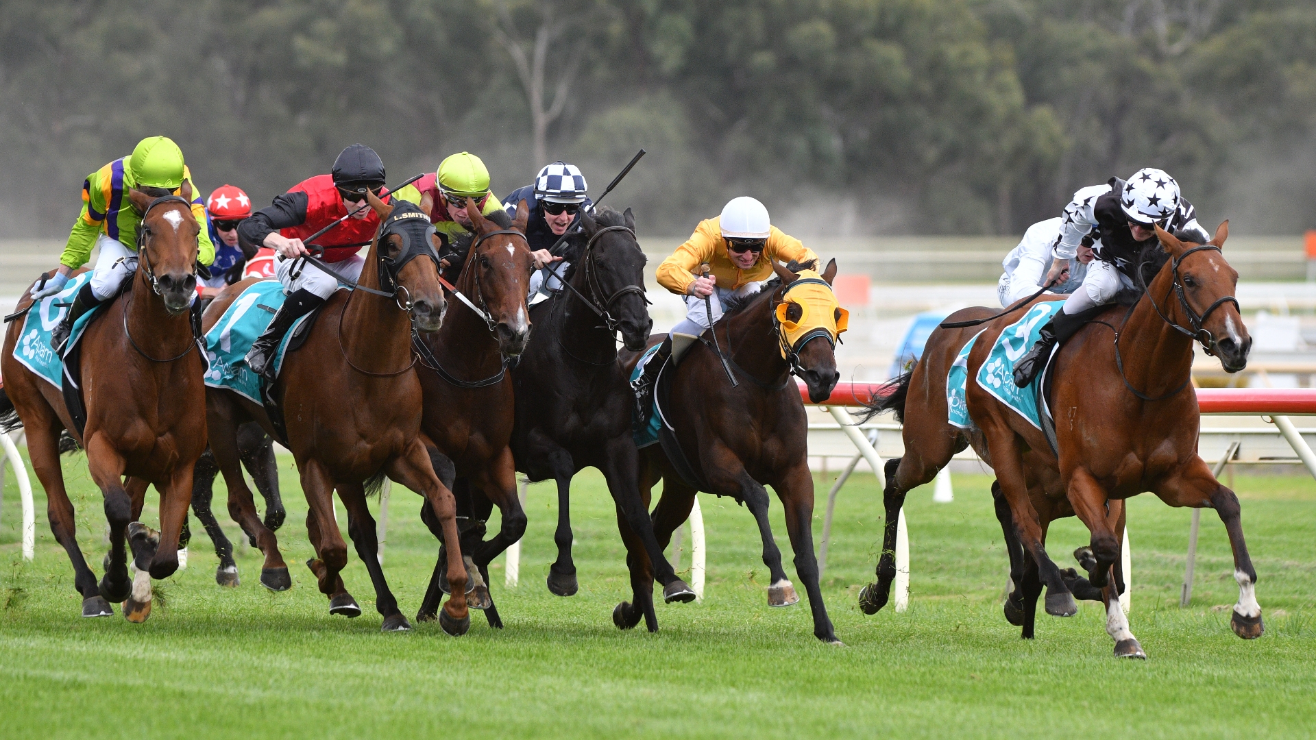 Bendigo Racing Tips, Best Bets & Odds | Today's Betting Tips for April ...