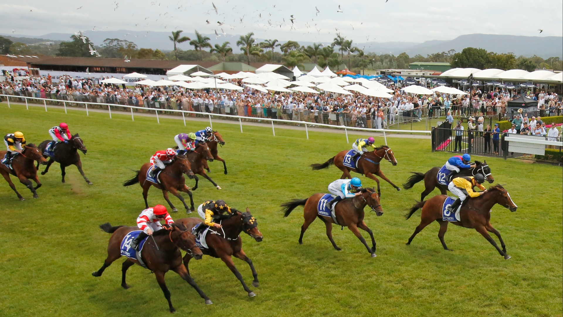 wednesday-racing-tips-best-value-bets-for-april-26-2023