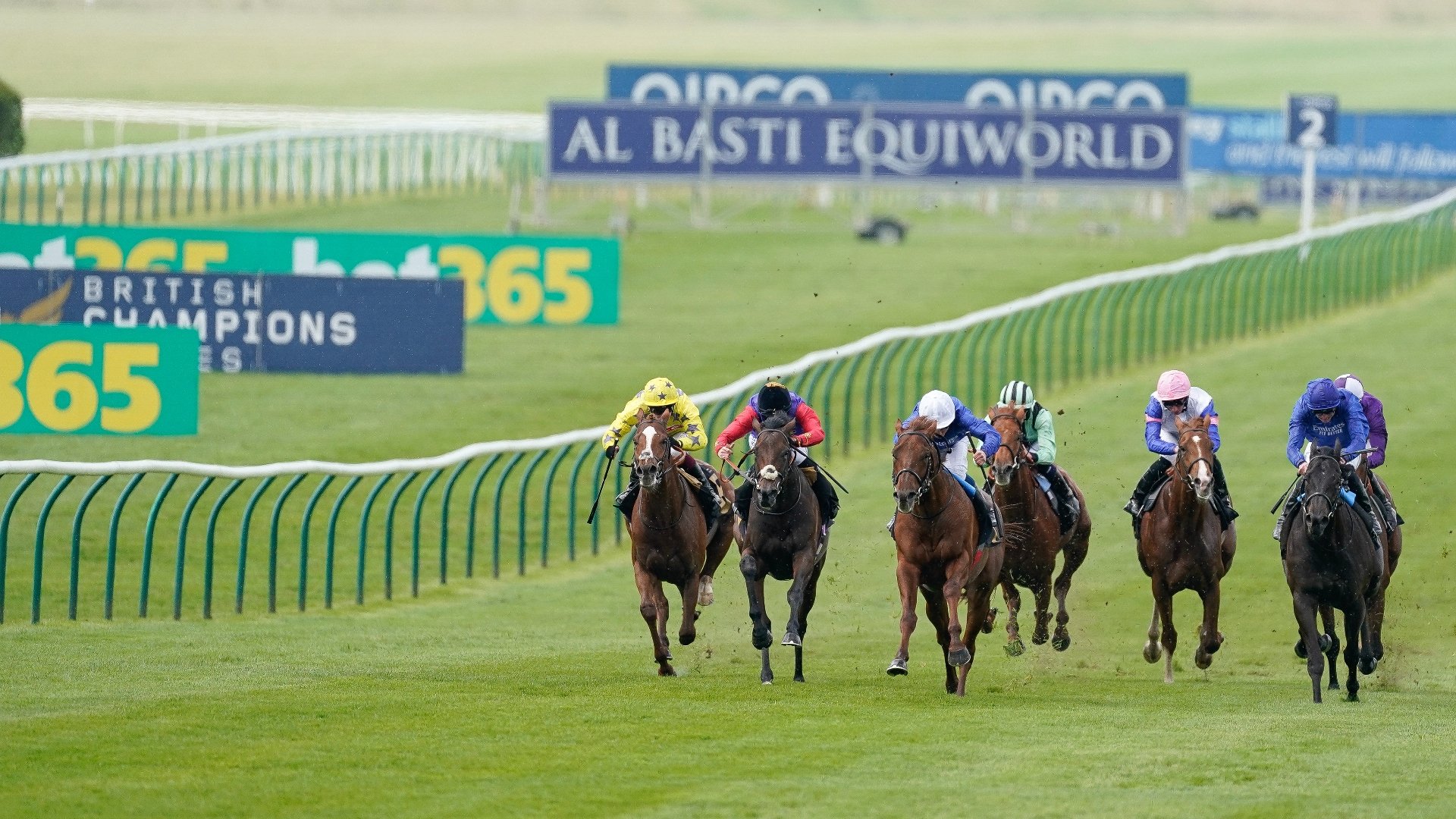 ITV Racing Tips on May 6th Saturday's tips on 2000 Guineas day