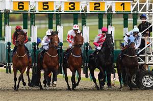 lingfield races