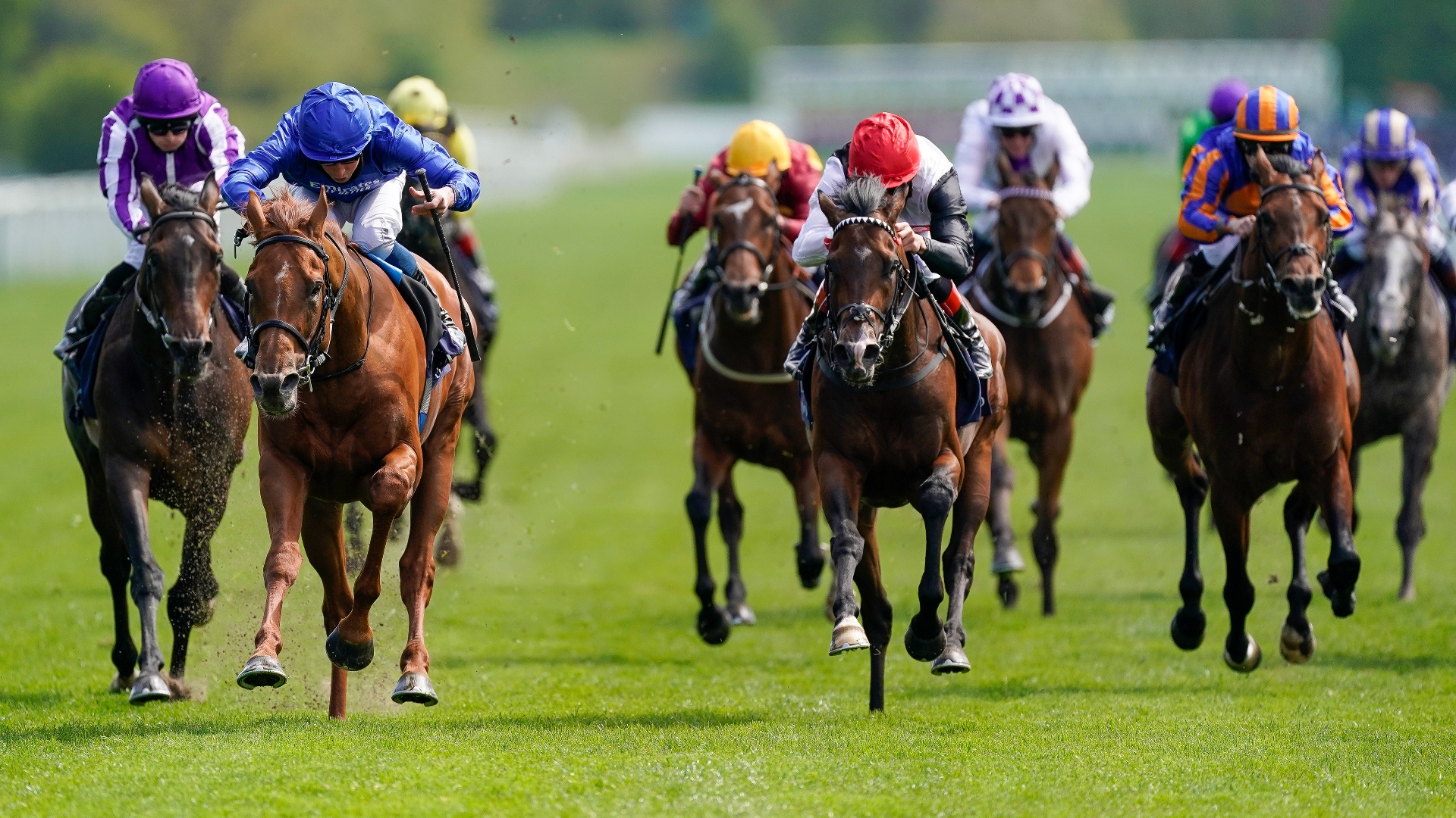 Dante Stakes Live Stream Watch the York race live