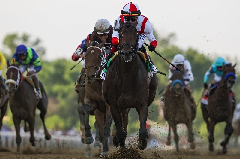 2023 Preakness Stakes Tips Odds, draw and tips for Pimlico May 20