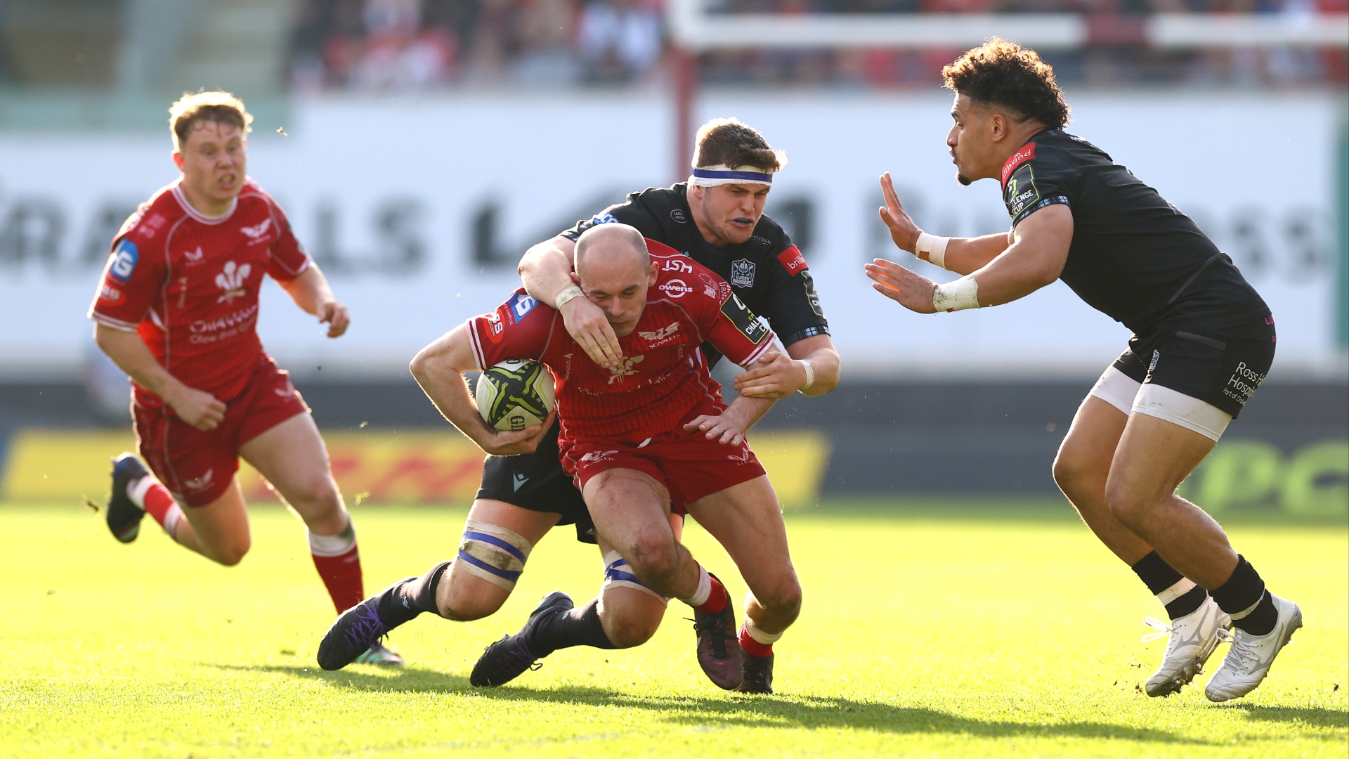 Glasgow Warriors Vs Toulon Predictions & Tips - Warriors Can Upset The ...