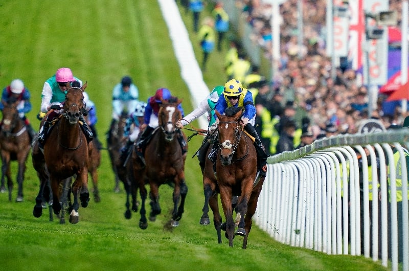 2023 Epsom Derby Confirmed Runners Auguste Rodin tops field of 14 at