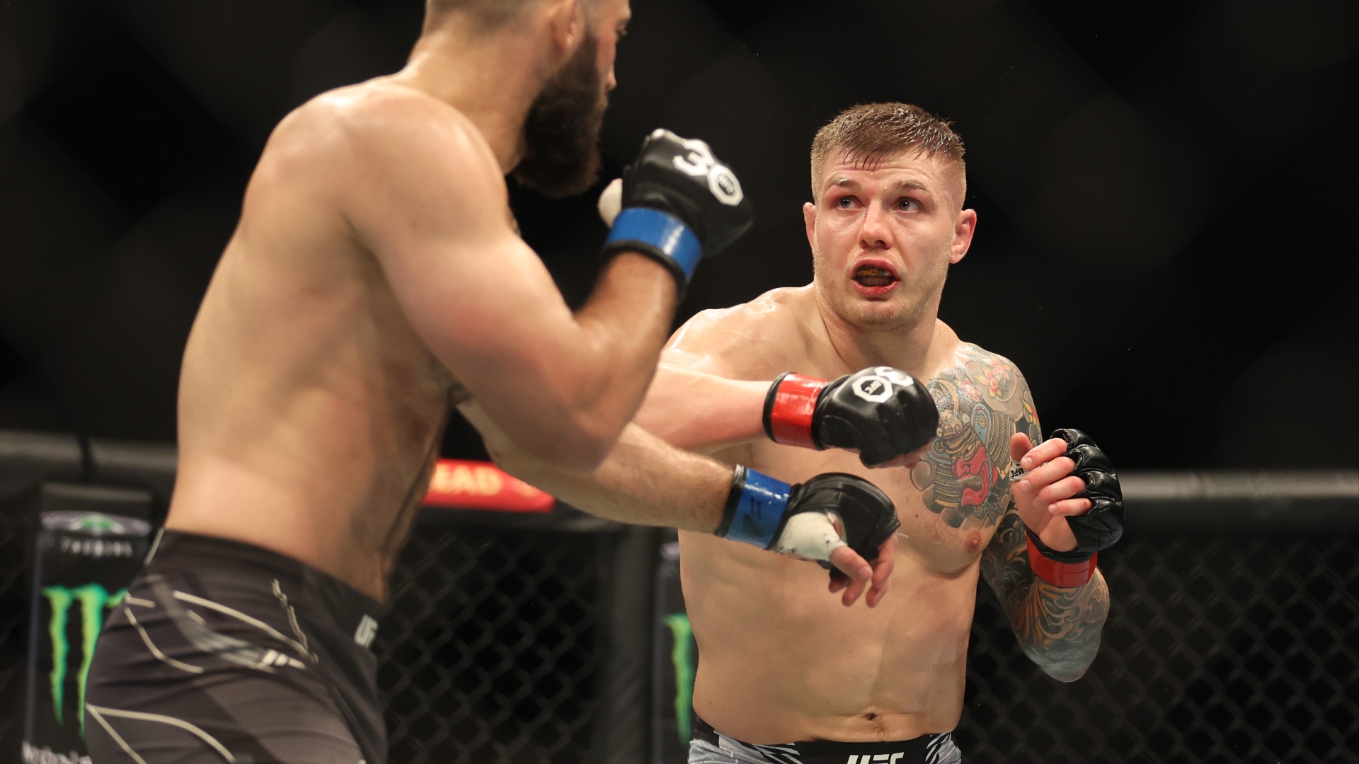 Marvin Vettori Vs Jared Cannonier Tips Vettori To Win Ufc Fight Night