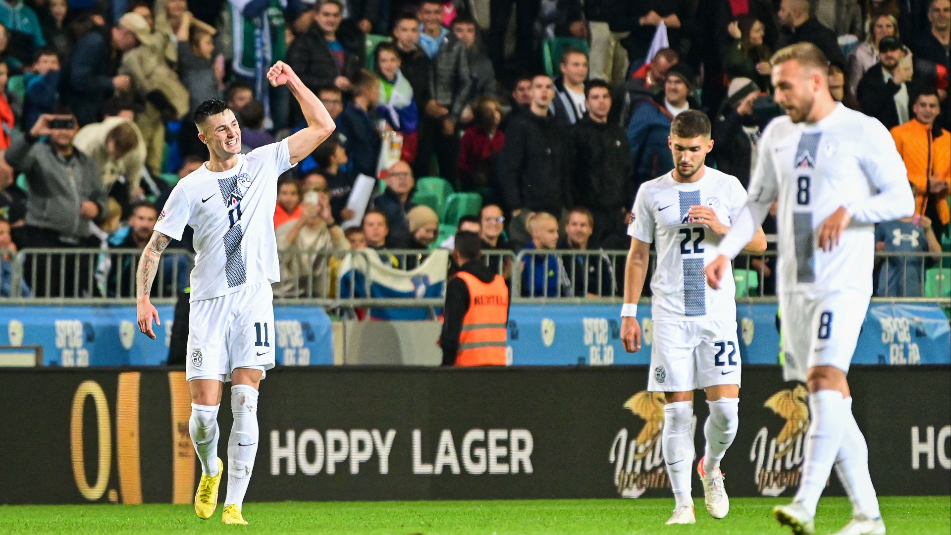 Finland vs Slovenia Predictions & Tips Sesko to Fire Slovenia to