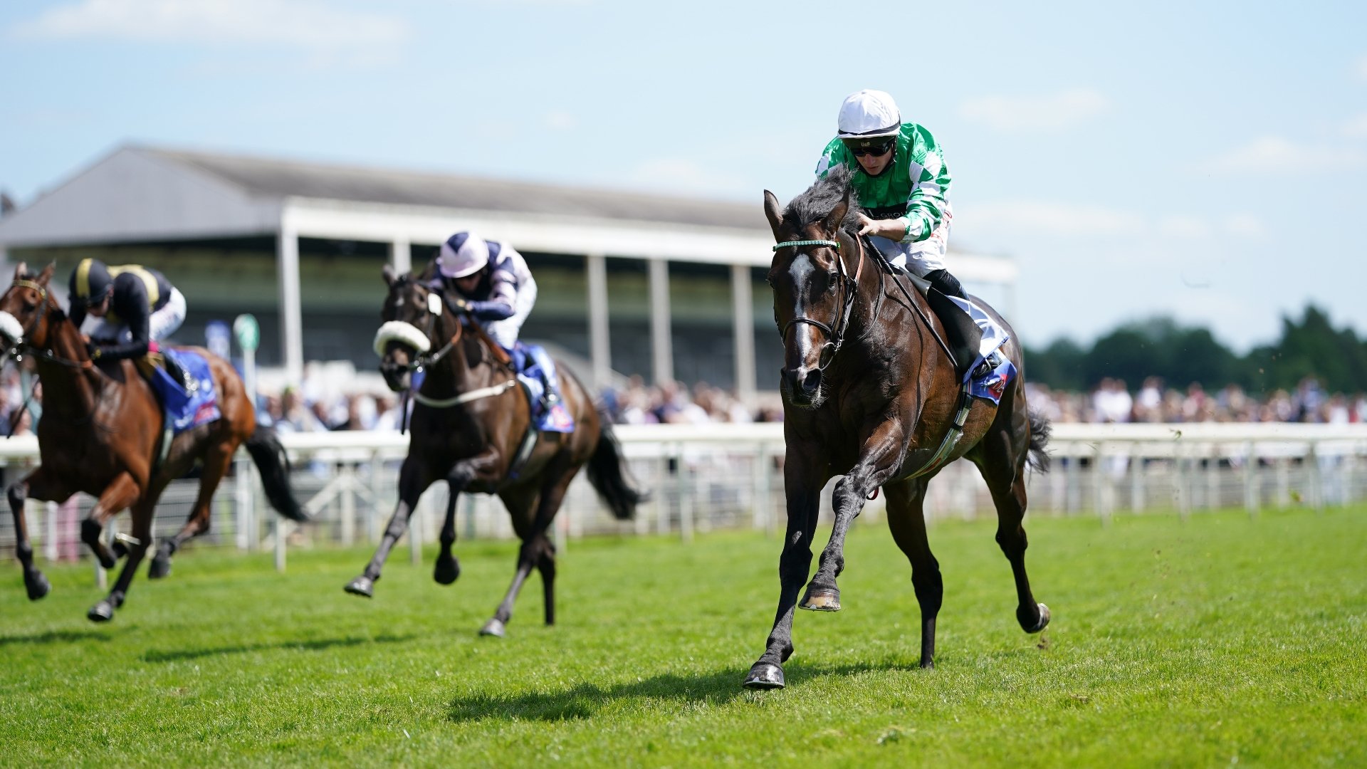 Grand Cup Stakes Live Stream - Watch the York race online