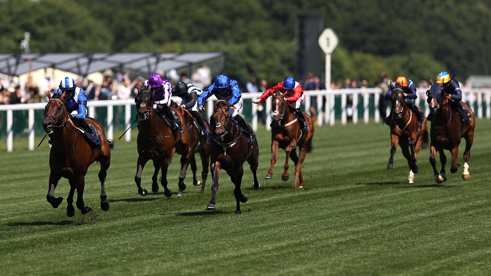 Queen Anne Stakes Live Stream Watch the Royal Ascot race online