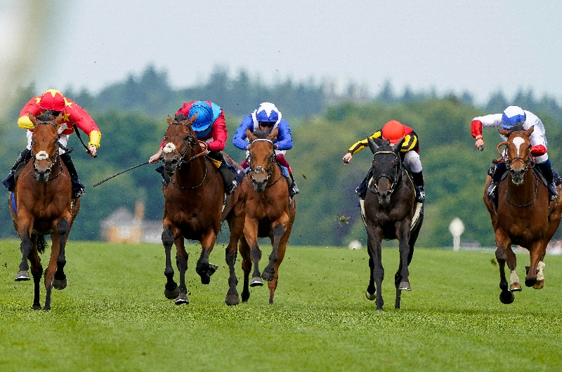 Prince Of Wales's Stakes Live Stream Watch the Royal Ascot race online