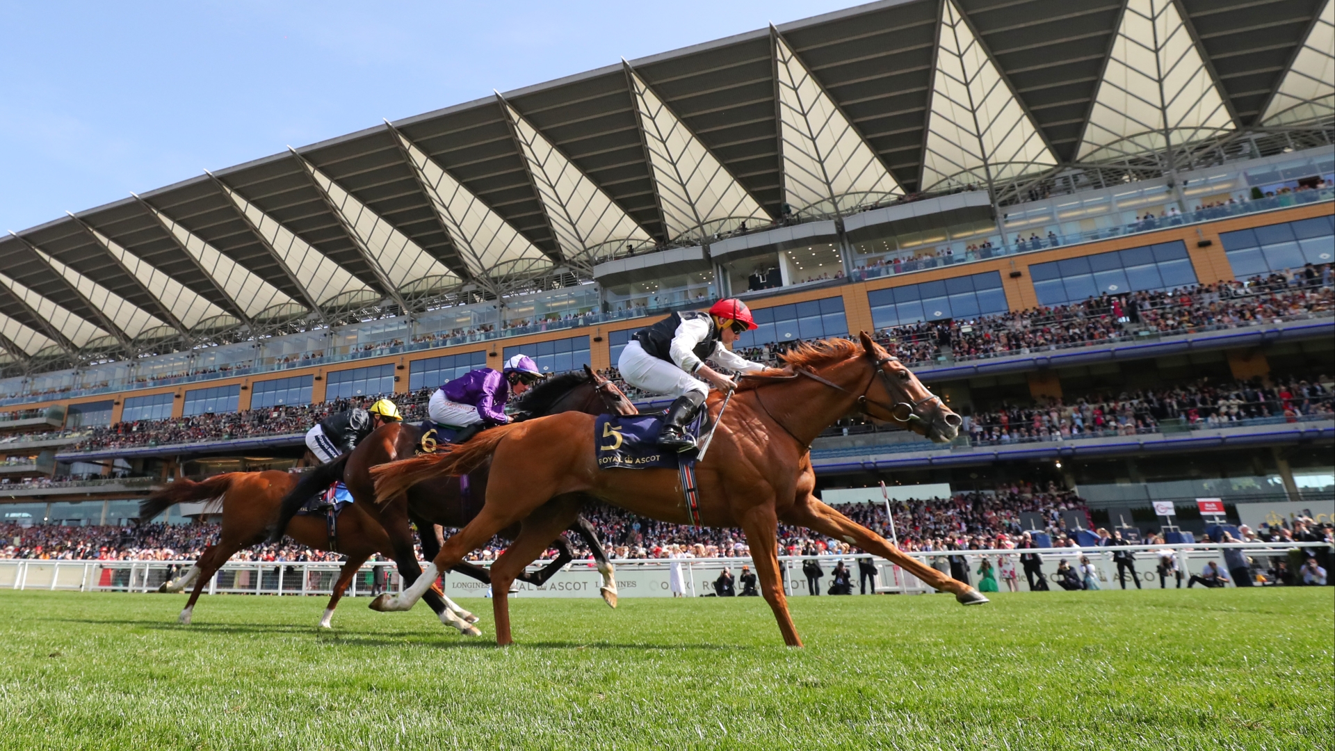 Ascot Gold Cup Live Stream Watch the Royal Ascot race online