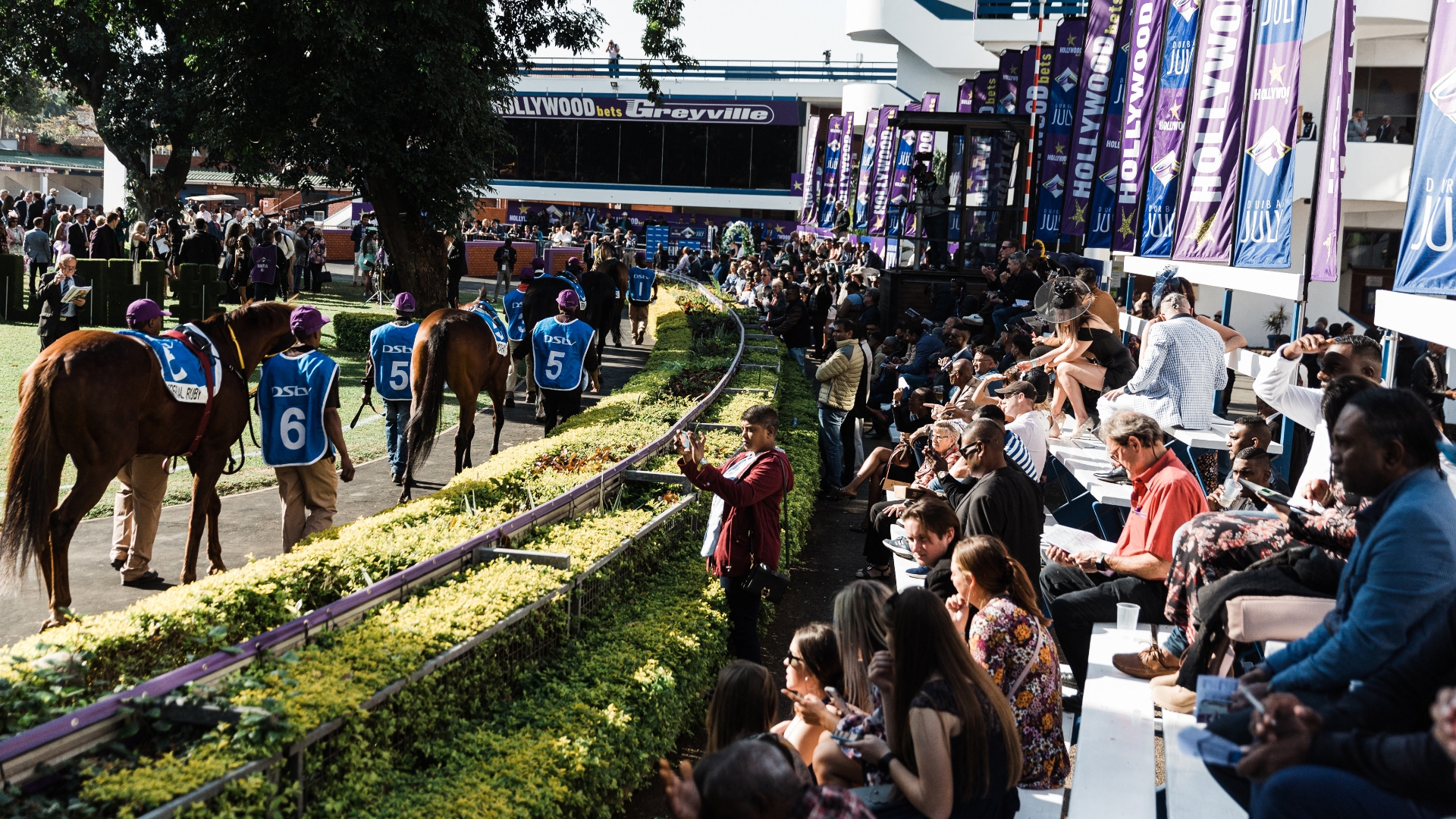 2023 Durban July Final Field and Draw Trip Of Fortune tops Greyville