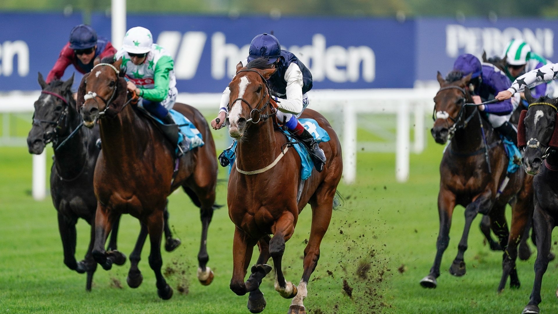 2023 Queen Elizabeth II Jubilee Stakes Tips Two sprinters to side