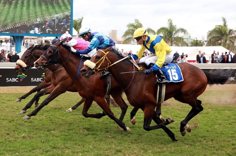 See It Again Durban July 2023 Betting Odds