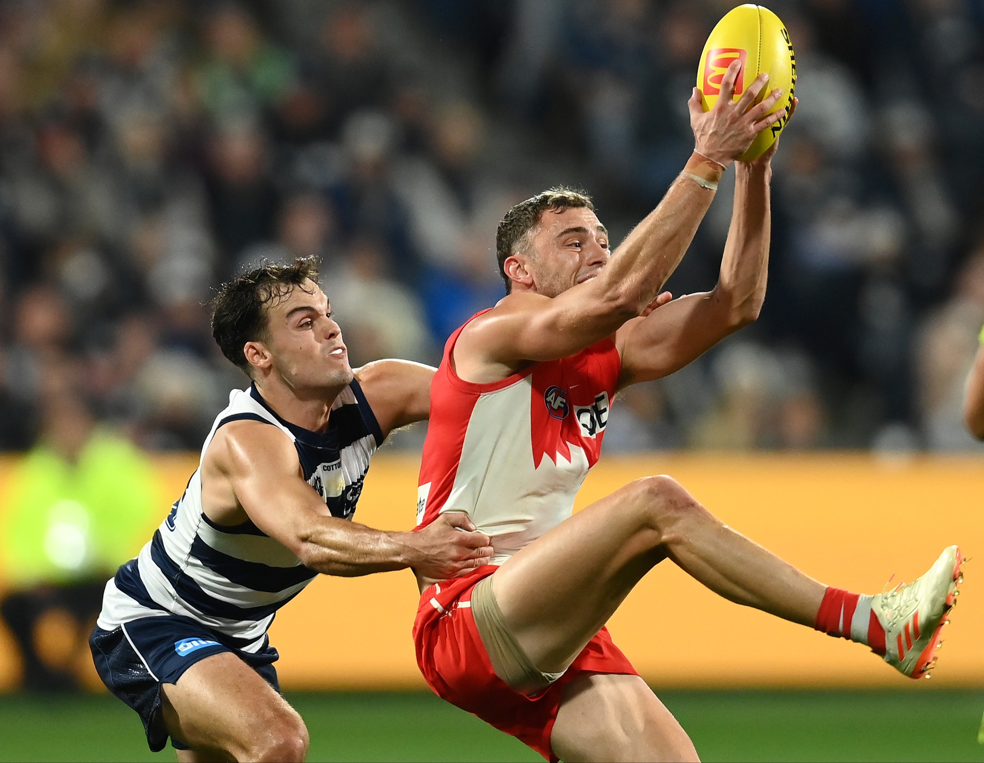 Geelong Cats vs West Coast Eagles Tips, Preview & Live Stream