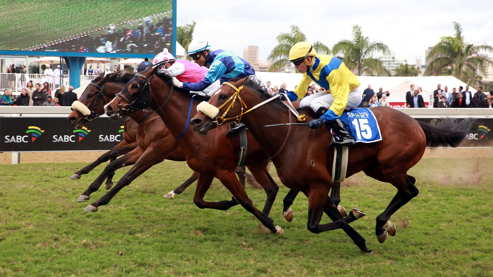 See It Again Durban July 2023 Betting and Odds