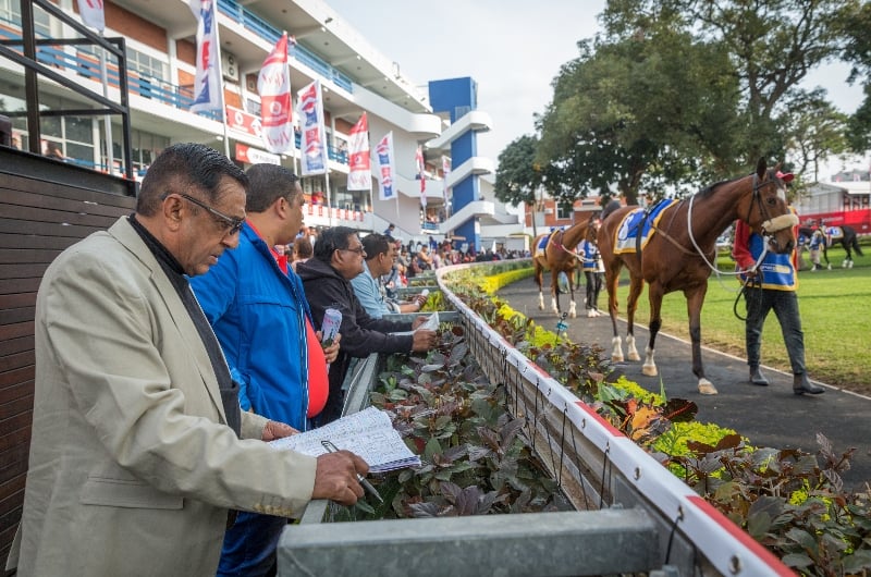 2024 Durban July Tips | Gold Circle Preview Panel video