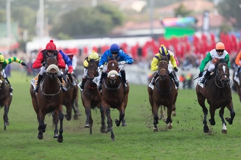 2023 Durban July Odds and Betting Update [830am 1/7/2022]