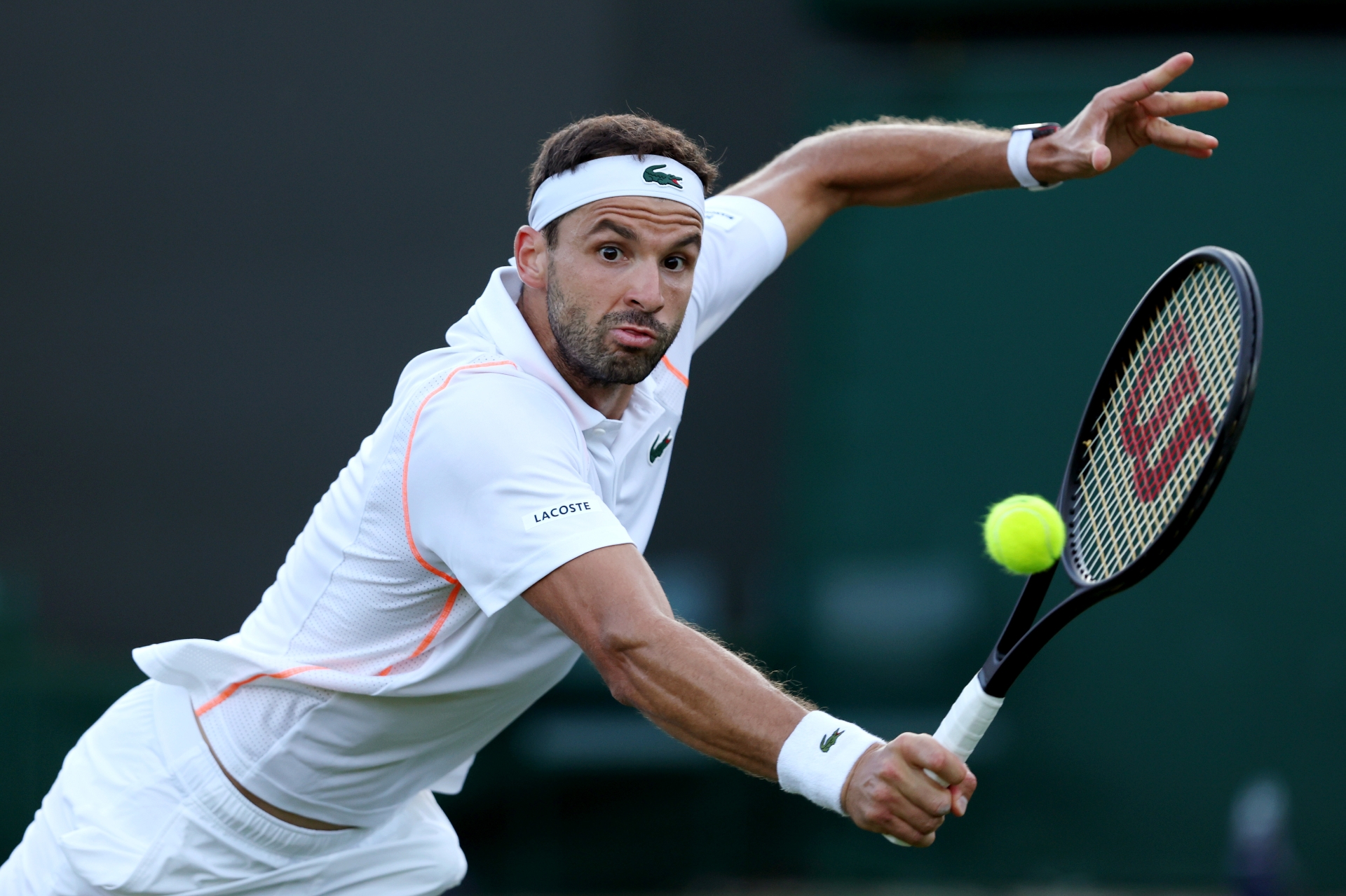 Dimitrov tiafoe