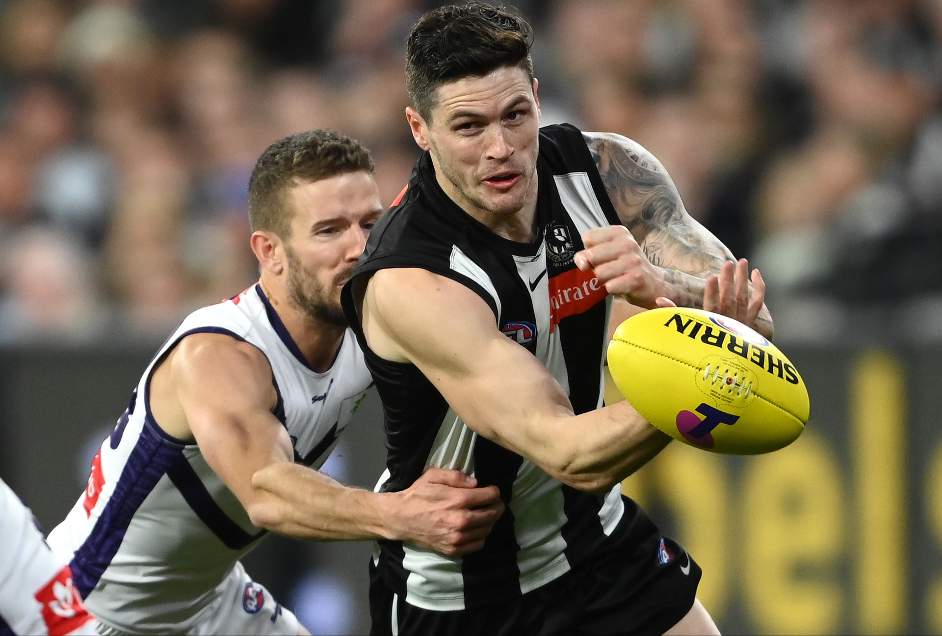 Collingwood vs Fremantle Dockers Tips & Preview Pies backed to make