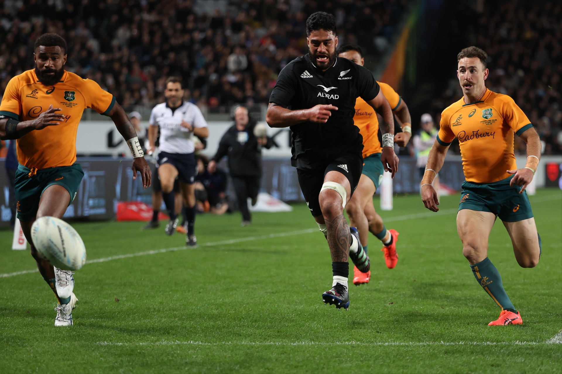 Bledisloe Cup 2023 Schedule & Fixtures Where and when will Australia