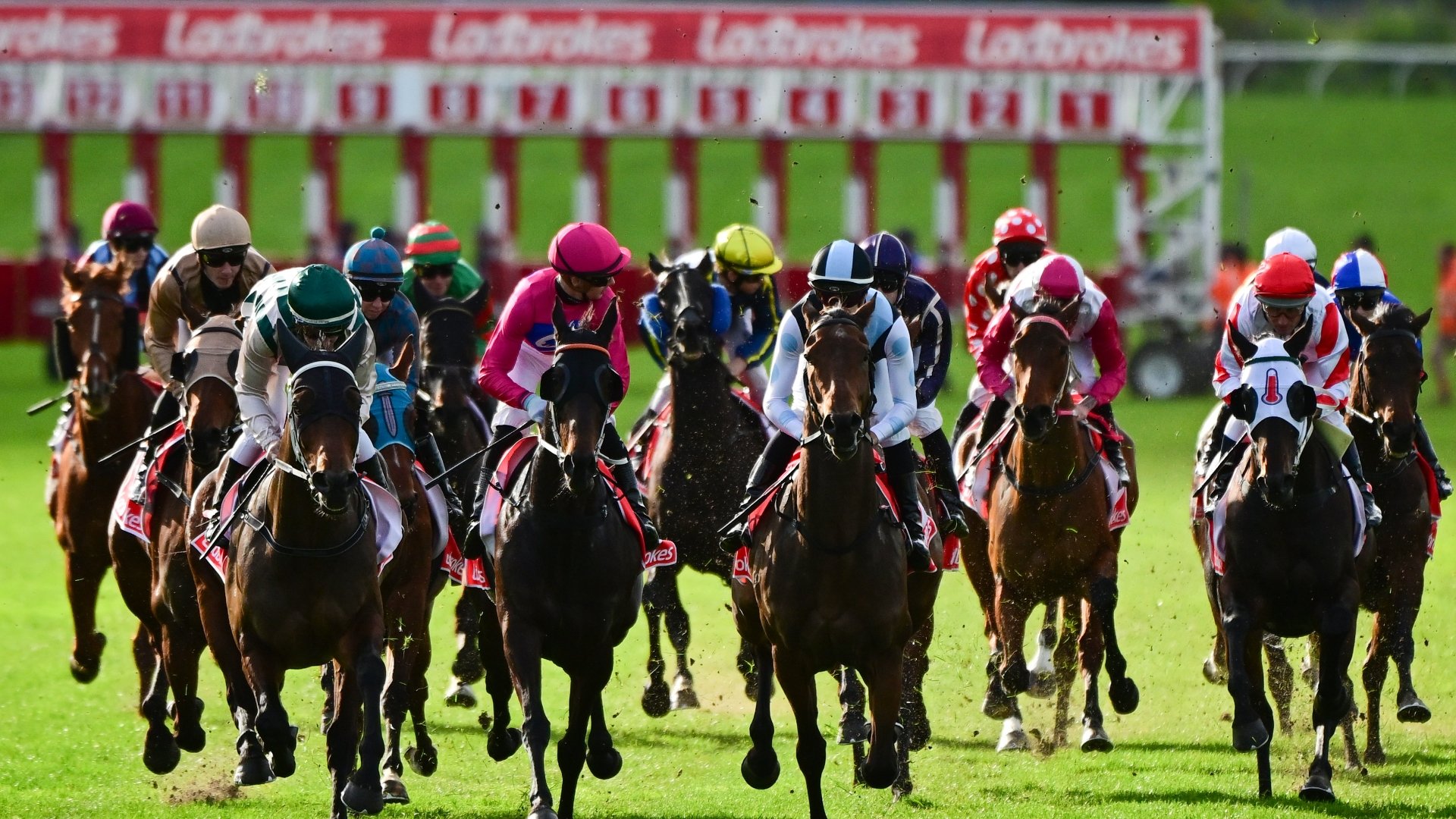 wednesday-racing-tips-best-value-bets-for-july-19