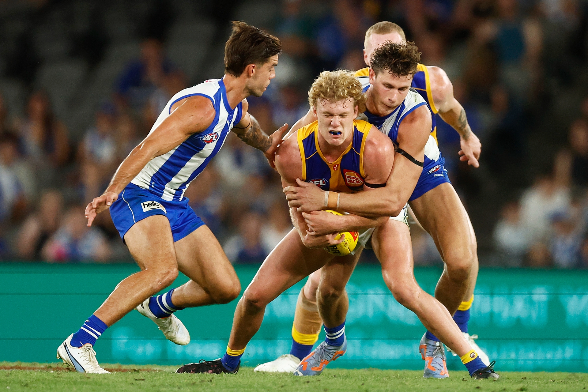 West Coast Eagles Vs North Melbourne Tips Eagles To Snatch Second Win