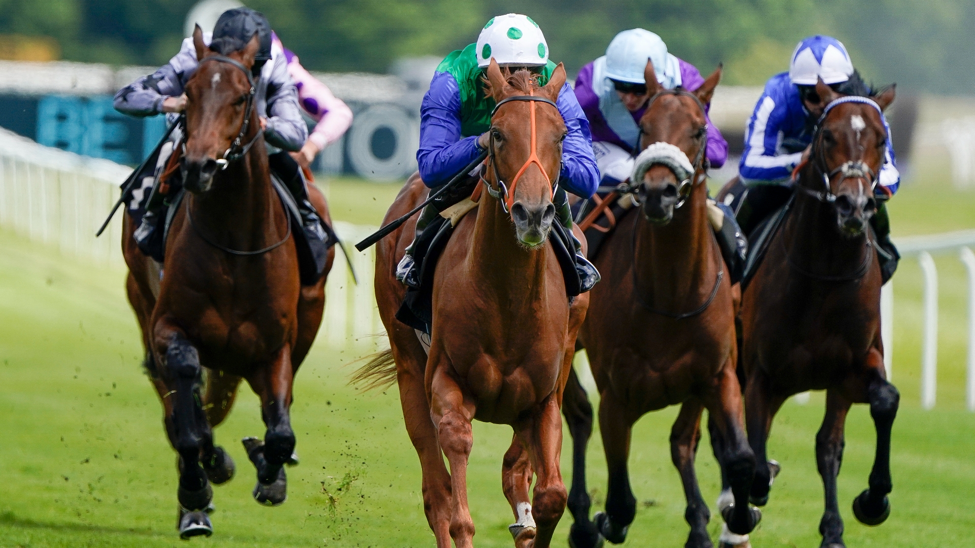 Glorious Goodwood Tips on August 1st | Every race covered on Goodwood ...