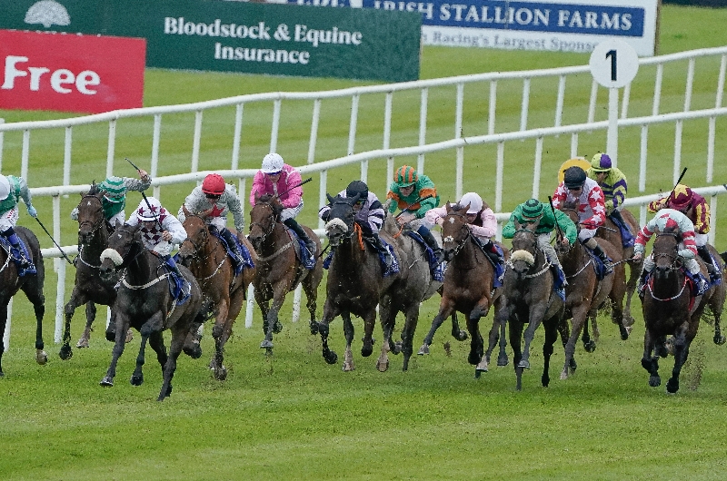 2023 Galway Festival Tips on August 5th Three selections on day six